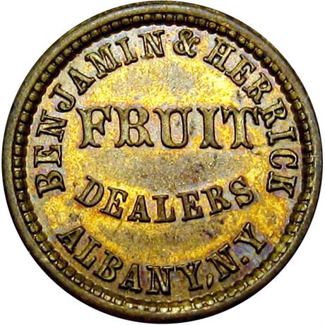 255  -  NY010A- 4b R7 Raw MS62 Albany New York Civil War token