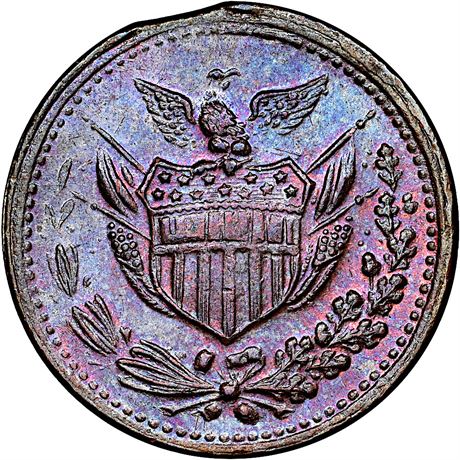 165/400 a R5 NGC MS64 Indiana Primitive Patriotic Civil War token